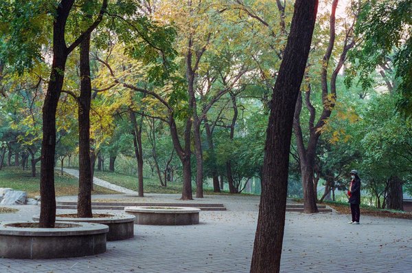 Mutuelle santé pour étudiant : choisissez la couverture idéale