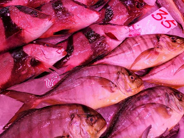 Les meilleures housses anti-acariens pour un sommeil serein