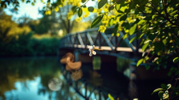 Découvrez les meilleurs thérapeutes en Île-de-France pour votre bien-être